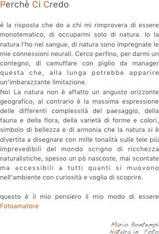 Perchè Ci Credo

é la risposta che do a chi mi rimprovera di essere monotematico, di occuparmi solo di natura. Io la natura l’ho nel sangue, di natura sono impregnate le mie connessioni neurali. Cerco perfino, per darmi un contegno, di camuffare con piglio da manager questa che, alla lunga potrebbe apparire un’imbarazzante limitazione. 
No! La natura non è affatto un angusto orizzonte geografico, al contrario è la massima espressione delle differenti complessità del paesaggio, della fauna e della flora, della varietà di forme e colori, simbolo di bellezza e di armonia che la natura si è divertita a disegnare con mille tonalità sulle tele più imprevedibili del mondo scrigno di ricchezza naturalistiche, spesso un pò nascoste, mai scontate ma accessibili a tutti quanti si muovono nell’ambiente con curiosità e voglia di scoprire.

questo è il mio pensiero il mio modo di essere Fotoamatore 

Mario Bontempi
Natura in  Foto 
